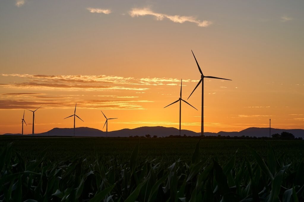 Wind turbines in Ceara Brazil